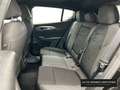 Alfa Romeo Tonale 1.5 MHEV GASOLINA 130 CV  FWD Sprint Negro - thumbnail 10