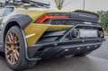 Lamborghini Huracán Sterrato *SPORT SEATS*CARPLAY*ROOF RACK* Zielony - thumbnail 12