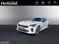 Kia Stinger GT-Line +LEDER+SITZBELÜFTUNG+SHZ+KAMERA Weiß - thumbnail 1