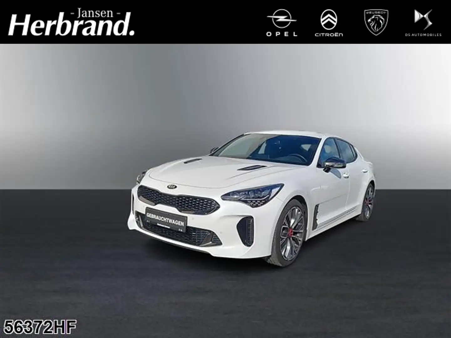 Kia Stinger GT-Line +LEDER+SITZBELÜFTUNG+SHZ+KAMERA Белый - 1