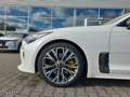 Kia Stinger GT-Line +LEDER+SITZBELÜFTUNG+SHZ+KAMERA Weiß - thumbnail 5