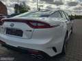 Kia Stinger GT-Line +LEDER+SITZBELÜFTUNG+SHZ+KAMERA Weiß - thumbnail 12