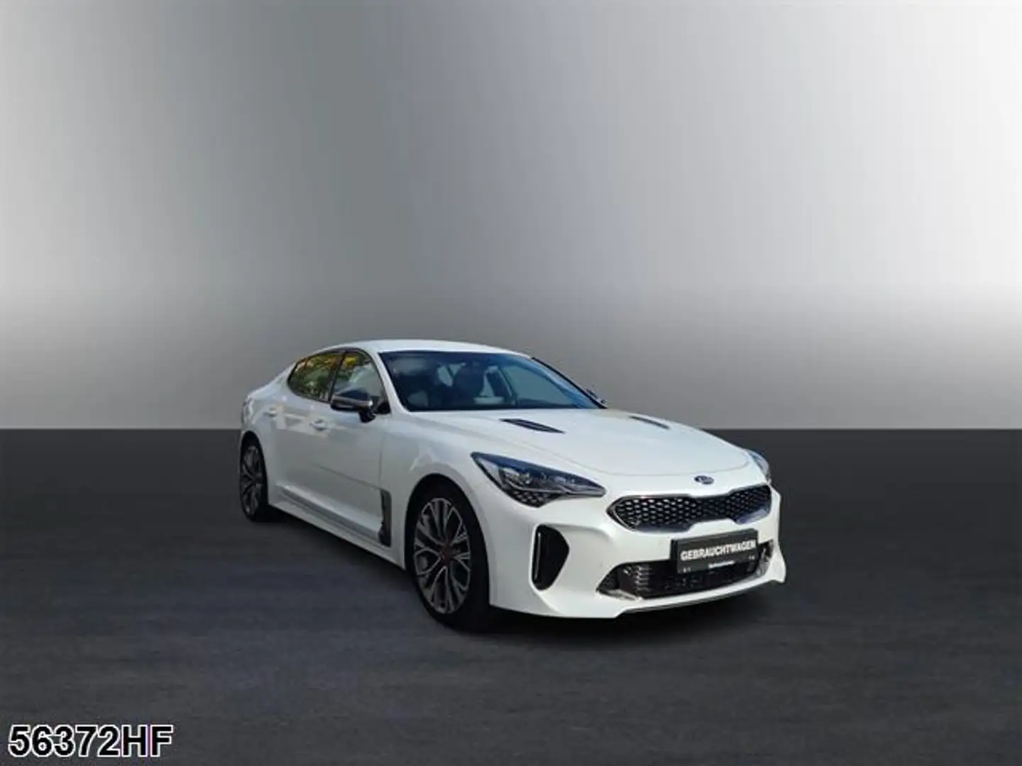 Kia Stinger GT-Line +LEDER+SITZBELÜFTUNG+SHZ+KAMERA Weiß - 2