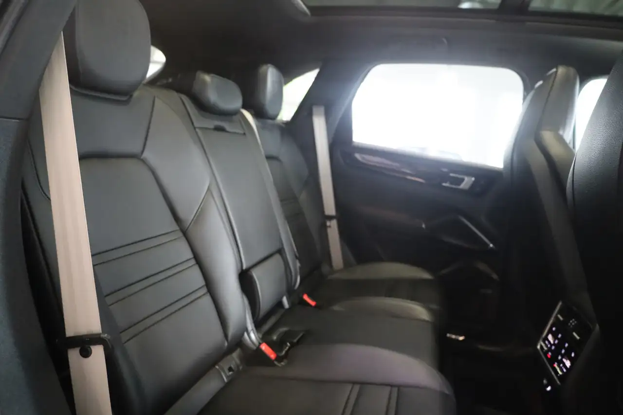 Porsche Cayenne E-Hybrid Platinum Edition, миниатюра 21