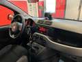 Fiat Panda 1.0 HYBRID CITY LIFE 70 CV S&S Bianco - thumbnail 12