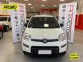 Fiat Panda 1.0 HYBRID CITY LIFE 70 CV S&S Bianco - thumbnail 1