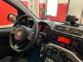 Fiat Panda 1.0 HYBRID CITY LIFE 70 CV S&S Bianco - thumbnail 14
