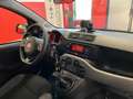 Fiat Panda 1.0 HYBRID CITY LIFE 70 CV S&S Bianco - thumbnail 13