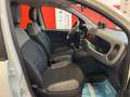 Fiat Panda 1.0 HYBRID CITY LIFE 70 CV S&S Bianco - thumbnail 11