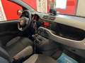 Fiat Panda 1.0 HYBRID CITY LIFE 70 CV S&S Bianco - thumbnail 15