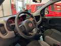 Fiat Panda 1.0 HYBRID CITY LIFE 70 CV S&S Bianco - thumbnail 8