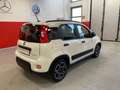 Fiat Panda 1.0 HYBRID CITY LIFE 70 CV S&S Bianco - thumbnail 5