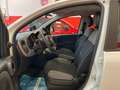 Fiat Panda 1.0 HYBRID CITY LIFE 70 CV S&S Bianco - thumbnail 6
