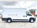 Fiat Ducato DUCATO MAXI 3 POSTI 2.3 MJ 130CV PL-TA Blanc - thumbnail 4