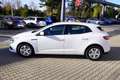 Renault Megane 1.3 TCE Life Tempomat Klima Bluetooth USB Weiß - thumbnail 11