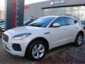 Jaguar E-Pace D 180 AWD R-DYNAMIC PANO CUIR NAVI Gris - thumbnail 4