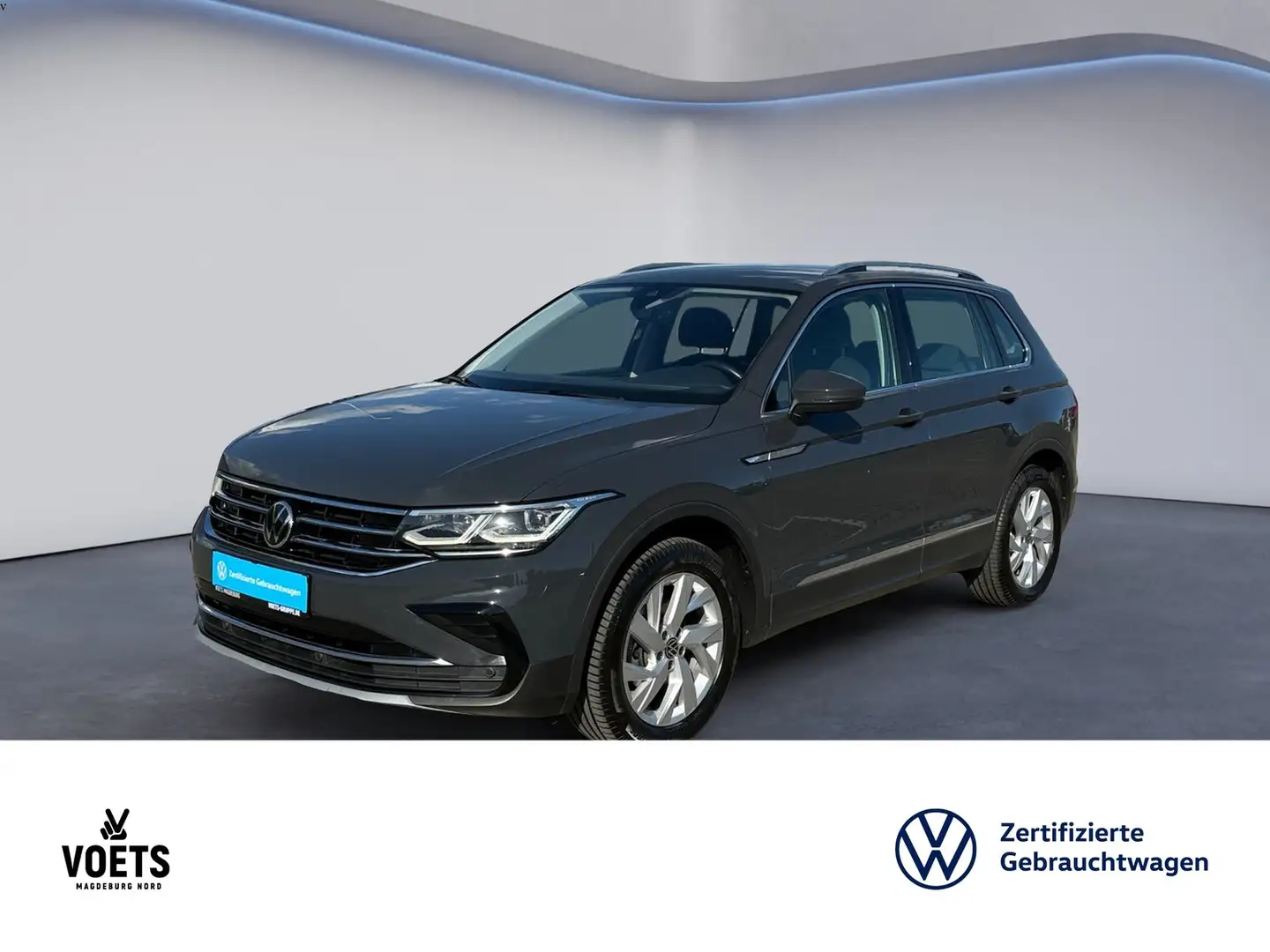Volkswagen Tiguan 2.0TDI ELEGANCE 4Motion AHK+Navi+LED Gris - 1