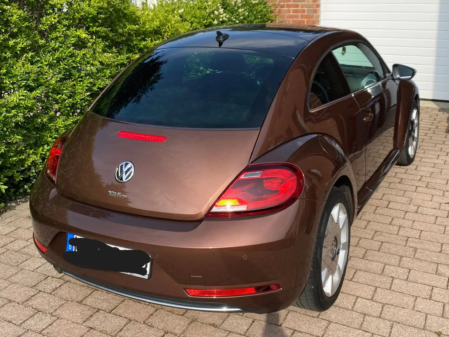 Volkswagen Beetle The Beetle 1.2 TSI Blue Motion Technologie Allstar Brown - 2