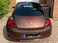 Volkswagen Beetle The Beetle 1.2 TSI Blue Motion Technologie Allstar Brown - thumbnail 3