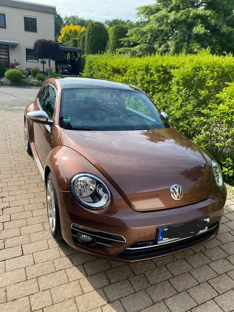 Volkswagen Beetle The Beetle 1.2 TSI Blue Motion Technologie Allstar Brown - 1