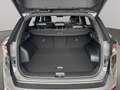 Kia Sportage 1,6 TGDI Black Edition Schwarz - thumbnail 10
