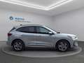 Ford Kuga Kuga 2,5 Duratec FHEV ST-Line Aut. ST-Line Silber - thumbnail 5