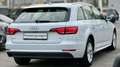 Audi A4 Avant 2,0 TDI *Viele-Extras +Finanzierung möglich Weiß - thumbnail 4