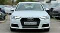 Audi A4 Avant 2,0 TDI *Viele-Extras +Finanzierung möglich Weiß - thumbnail 2