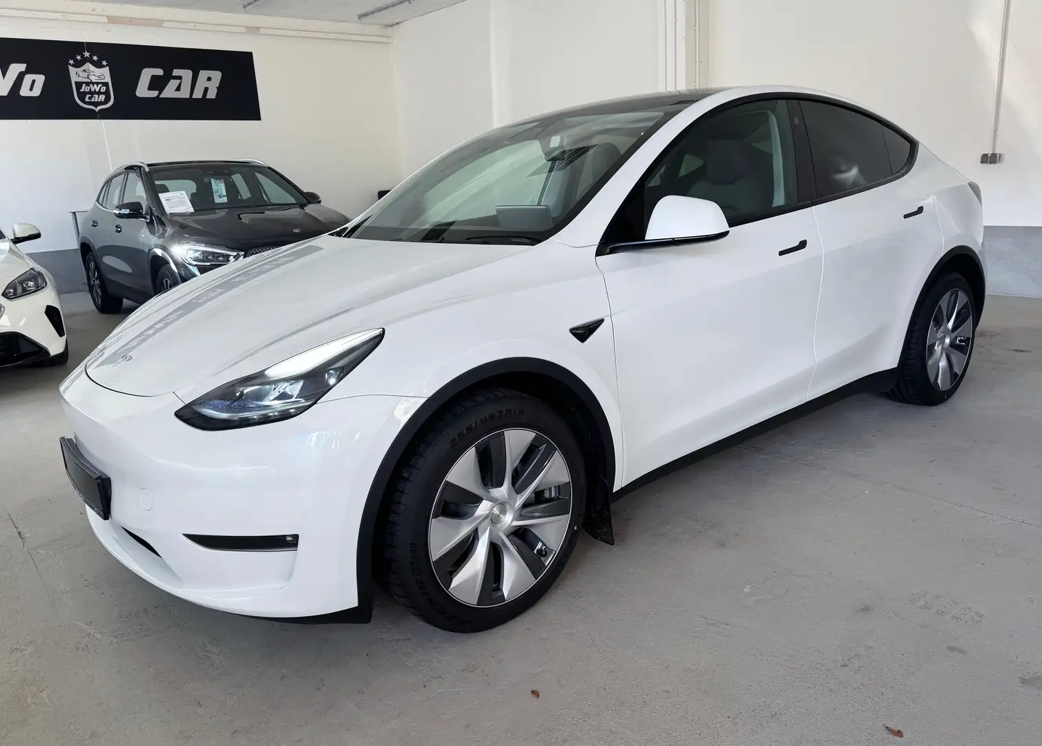 Tesla Model Y Long Range Dual AWD Weiß - 1
