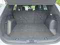 Ford Kuga 2,0 EcoBlue AWD ST-Line Aut. Weiß - thumbnail 13