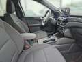 Ford Kuga 2,0 EcoBlue AWD ST-Line Aut. Weiß - thumbnail 12