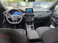 Ford Kuga 2,0 EcoBlue AWD ST-Line Aut. Weiß - thumbnail 8
