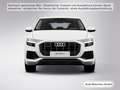 Audi Q8 TFSI e Luftfed/ACC/Kamera Weiß - thumbnail 16