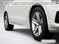 Audi Q8 TFSI e Luftfed/ACC/Kamera Weiß - thumbnail 10