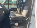 Iveco Daily 35 C 15 - CASSONE FISSO 4.20 mt Blanc - thumbnail 11