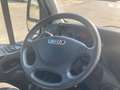 Iveco Daily 35 C 15 - CASSONE FISSO 4.20 mt Blanc - thumbnail 10