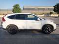 Honda CR-V CR-V 1.6i-DTEC Elegance Plus 4x2 120 Elegance Plus Blanco - thumbnail 6