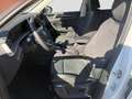 Volkswagen Tayron Elegance 1,5l eTSI 110kW 150PS DSG 7-Sitz Weiß - thumbnail 10