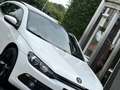 Volkswagen Scirocco 1.4 TSI Highline Plus Weiß - thumbnail 14