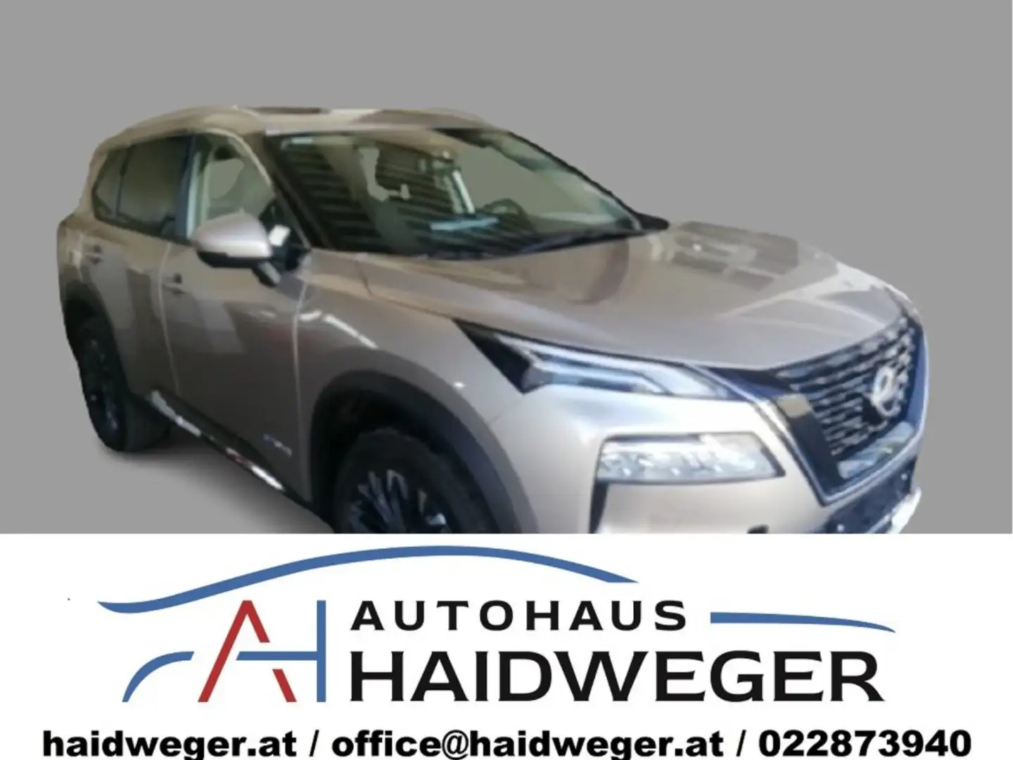 Nissan X-Trail 1,5 VC-T e-4ORCE Tekna + 19 Argento - 1