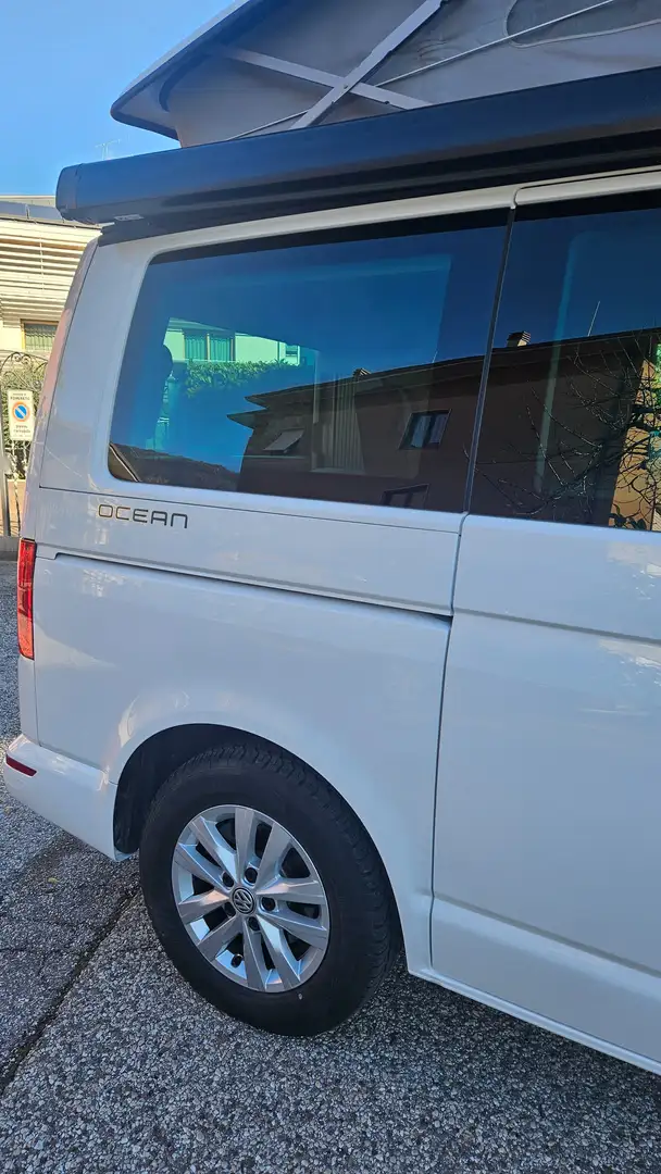 Volkswagen T6 California Ocean Bianco - 2