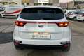 Kia Sportage Sportage 1.6 CRDI 115 CV 2WD Business Class Weiß - thumbnail 6