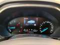 Ford Focus Turnier 1,5 EcoBlue Titanium Aut. Grau - thumbnail 27