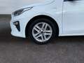 Kia Ceed / cee'd 1.0 T-GDI Vision *CarPlay*SHZ*Kamera*PDC hi* Weiß - thumbnail 19