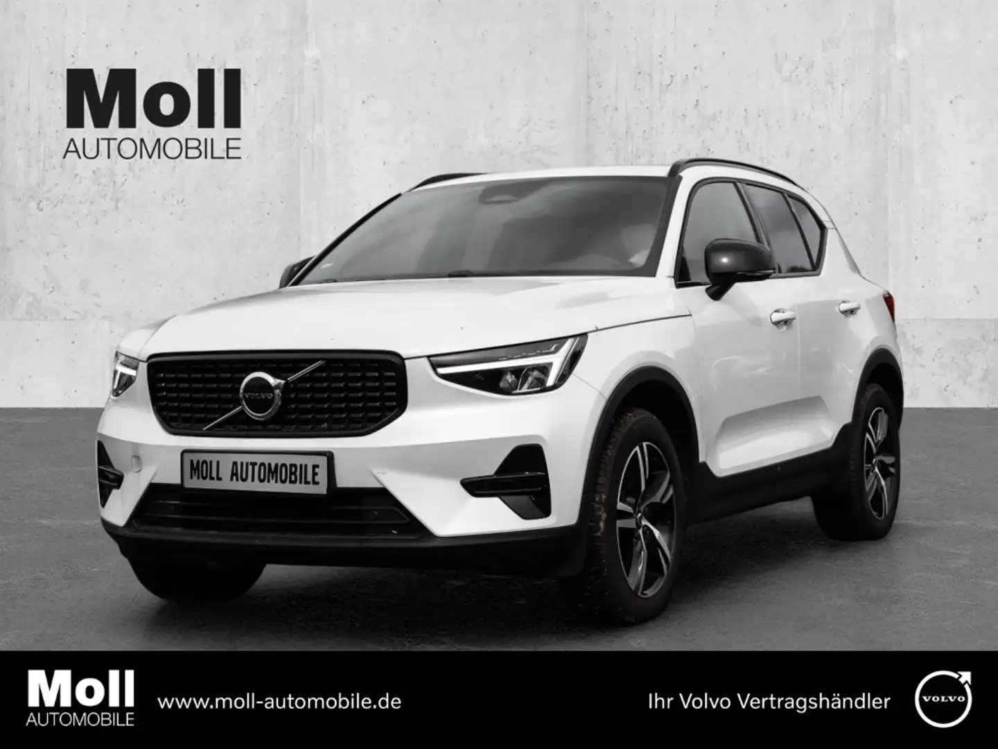Volvo XC40 Plus Dark 2WD B3 EU6d digitales Cockpit Memory Sit Weiß - 1