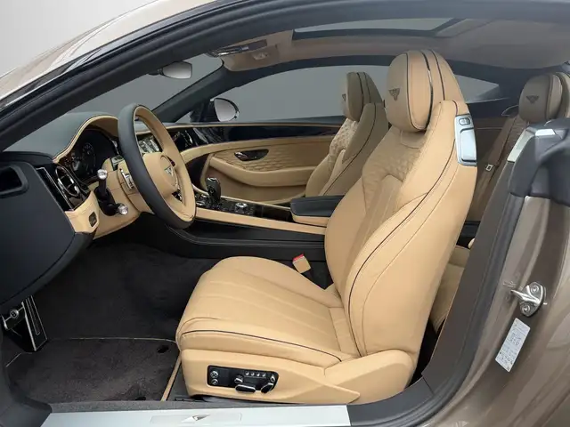Bentley Continental view 9