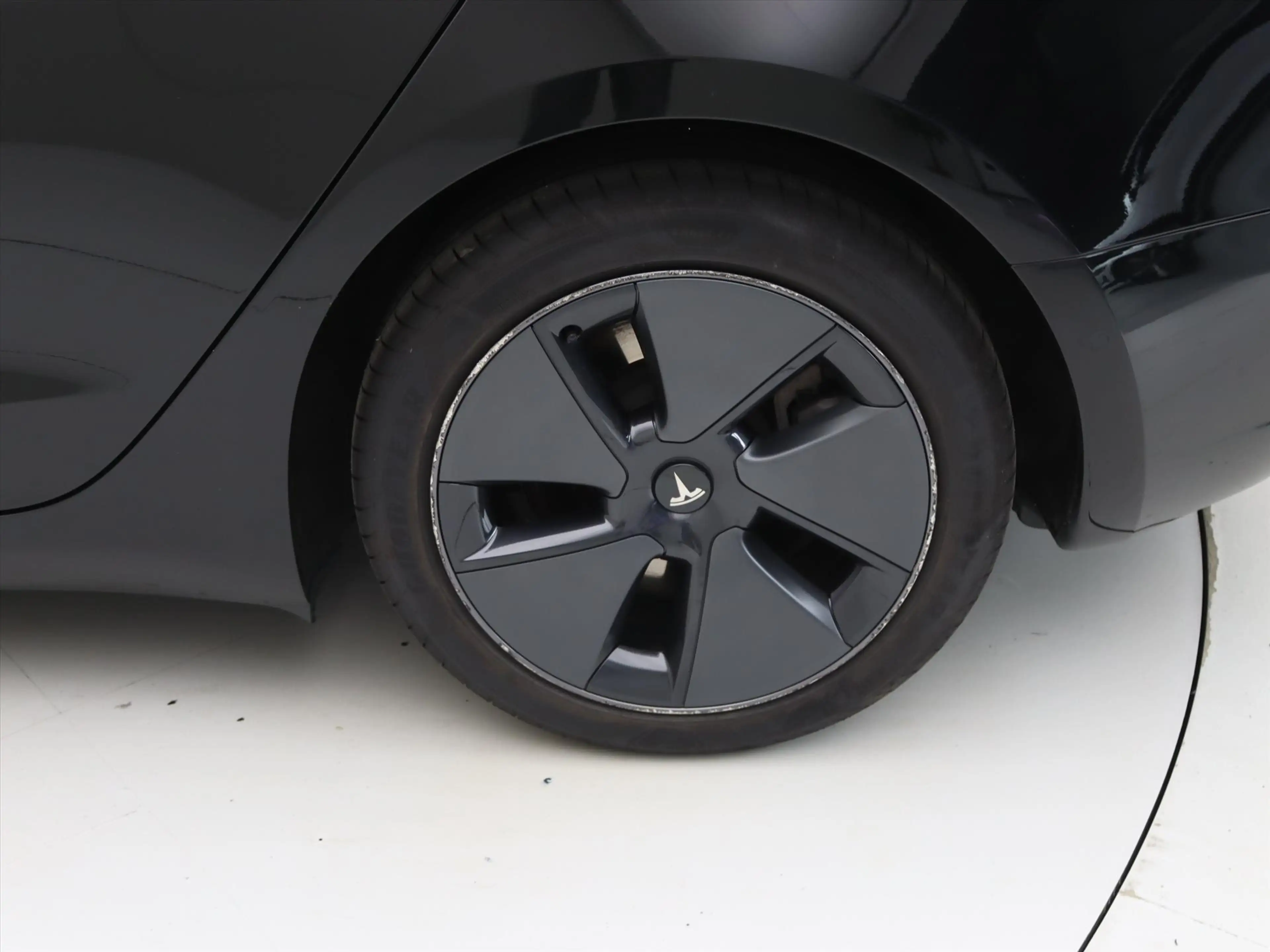 Tesla Model 3 Standard RWD Plus FACELIFT [ LFP-ACCU+WARMTEPOMP+A — photo 12