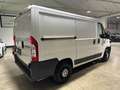 Fiat Ducato 2.0 JTD - KM ORIGINALI - UNICO PROP. - PREZZO +IVA Bianco - thumbnail 6
