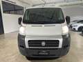 Fiat Ducato 2.0 JTD - KM ORIGINALI - UNICO PROP. - PREZZO +IVA Bianco - thumbnail 2