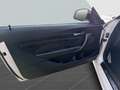 BMW M2 Coupé 19" / Harman Kardon / LED / RFK / Lkrd Heiz Weiß - thumbnail 10